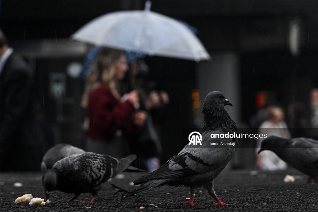 Ankara'da yağmur