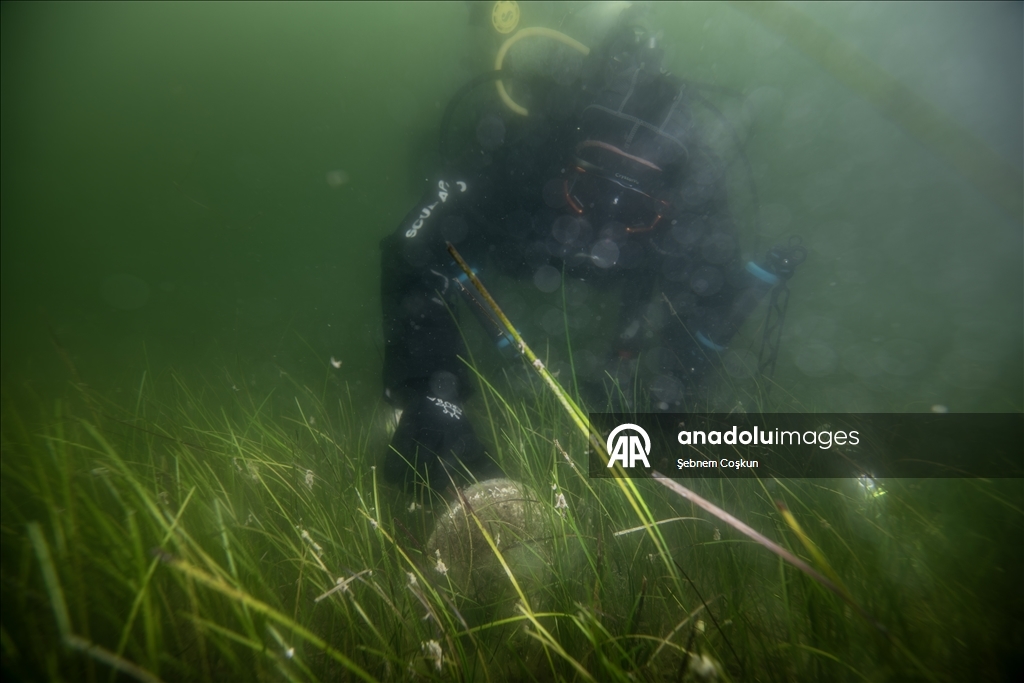 Mucilage Awareness Event at Gulf of Gemlik