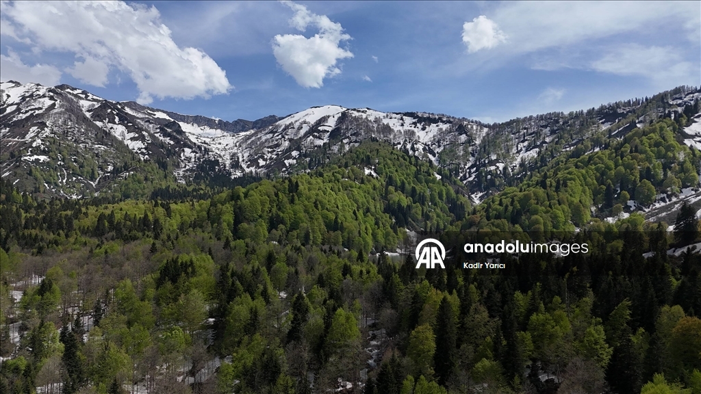 Artvin’in saklı cenneti Karagöl’de bahar ve kış bir arada yaşanıyor
