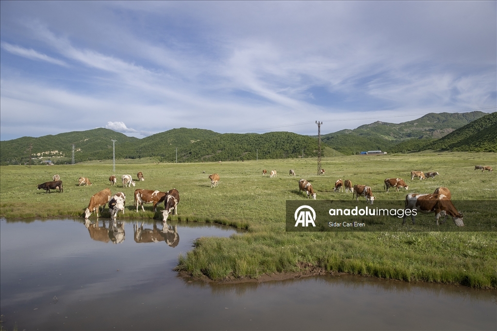 Tunceli'nin tarihi, doğal ve kültürel güzellikleri fotoğrafçıların ilgisini çekiyor