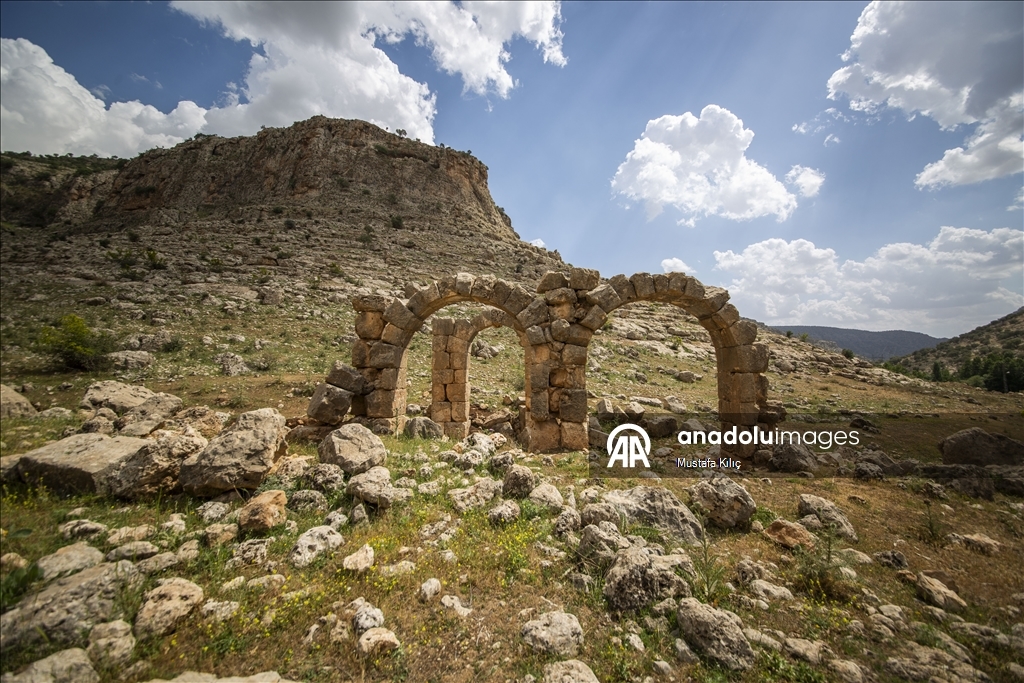 Historical buildings and remains in Mardin's Nusaybin shed light on history