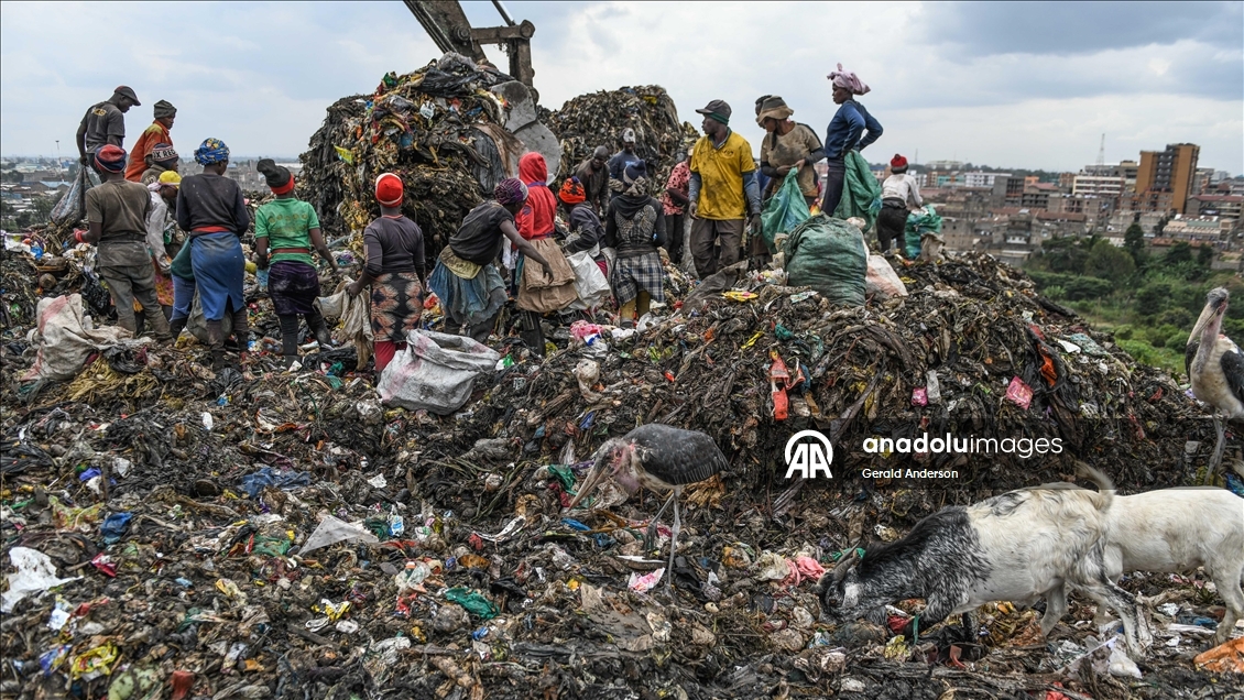 Kenya'daki Dandora çöp sahasında yaşam mücadelesi
