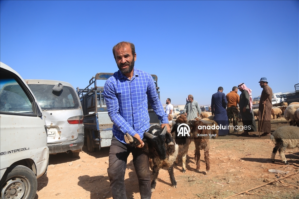 Suriye'de kamplardan köylerine dönen siviller Kurban Bayramı'na hazırlık yapıyor