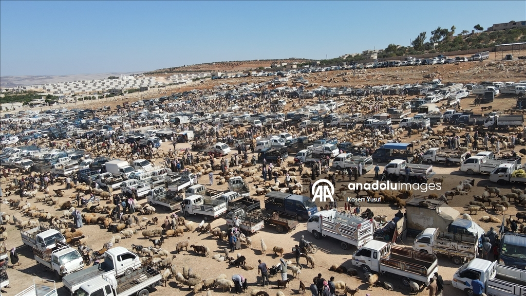 Suriye'de kamplardan köylerine dönen siviller Kurban Bayramı'na hazırlık yapıyor
