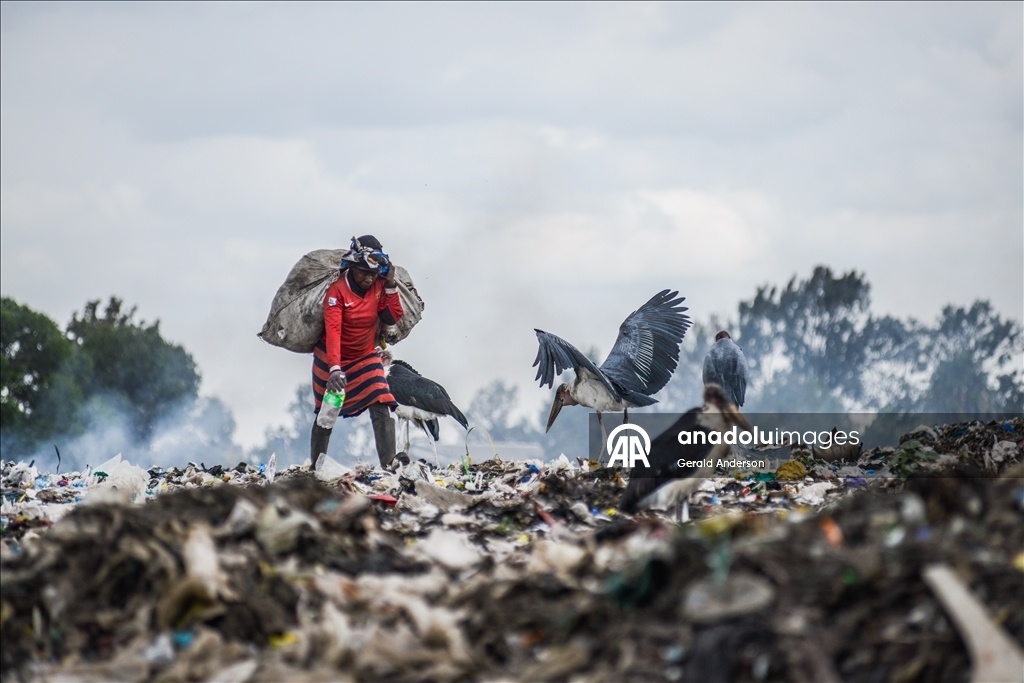Kenya'daki Dandora çöp sahasında yaşam mücadelesi