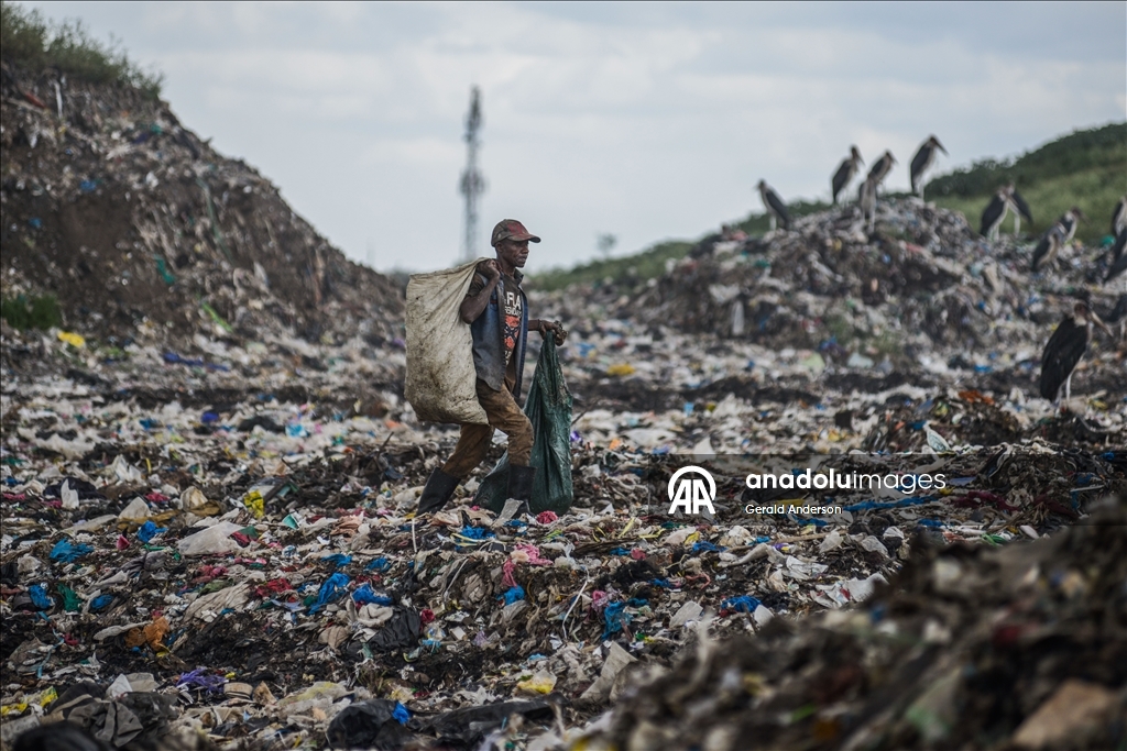 Kenya'daki Dandora çöp sahasında yaşam mücadelesi