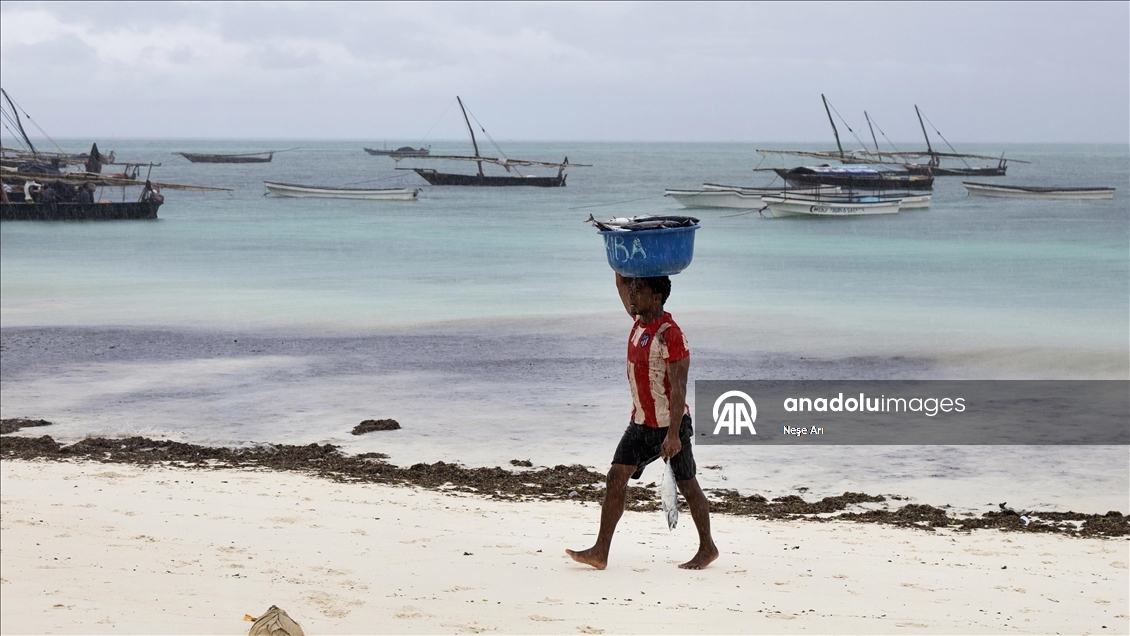 Zanzibar'da geçim kaynağı: Balıkçılık