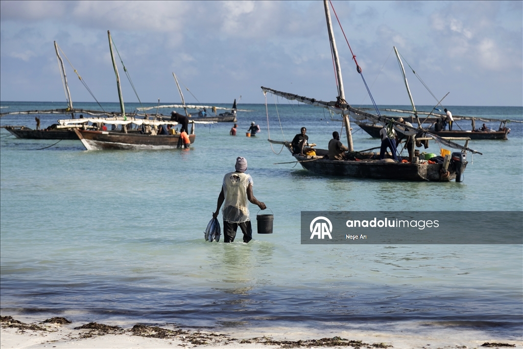 Zanzibar'da geçim kaynağı: Balıkçılık
