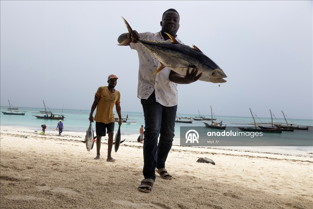 Zanzibar'da geçim kaynağı: Balıkçılık