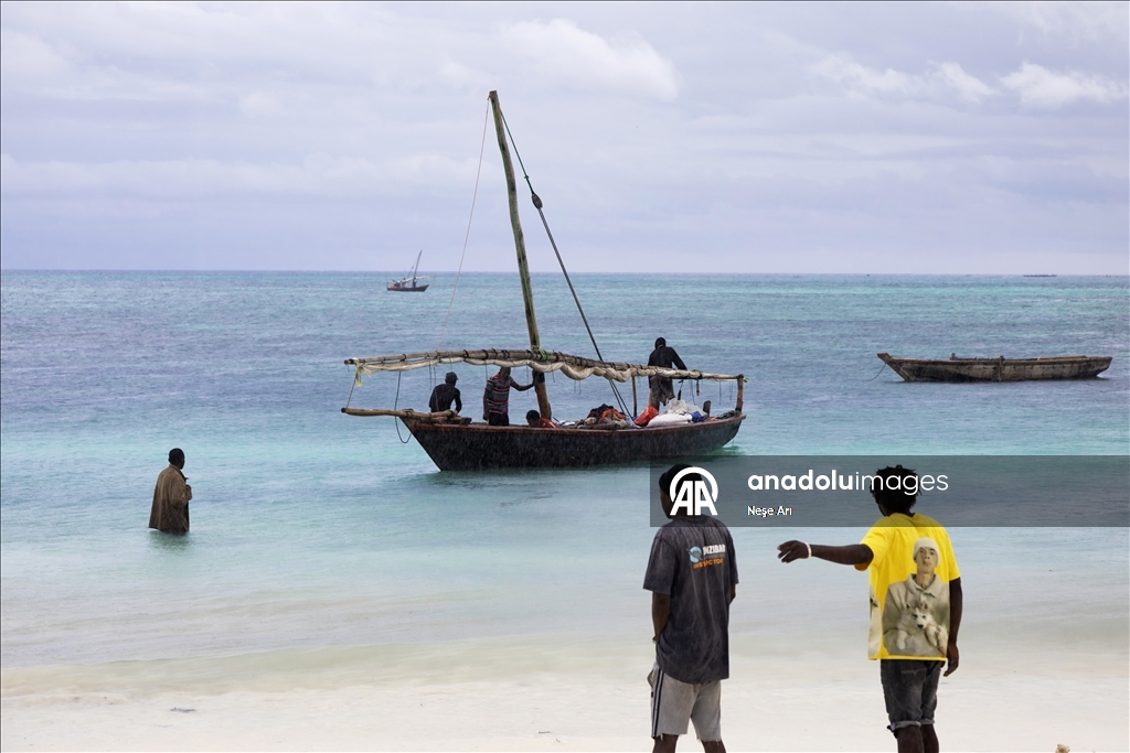 Zanzibar'da geçim kaynağı: Balıkçılık