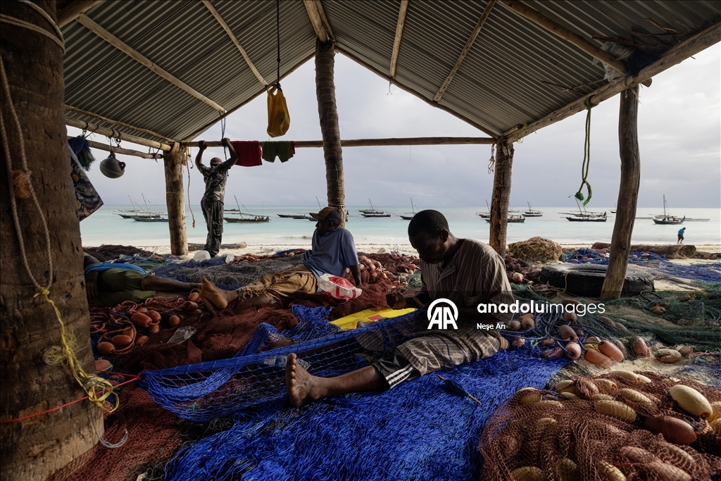 Zanzibar'da geçim kaynağı: Balıkçılık