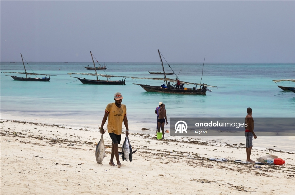 Zanzibar'da geçim kaynağı: Balıkçılık