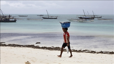 Zanzibar'da geçim kaynağı: Balıkçılık