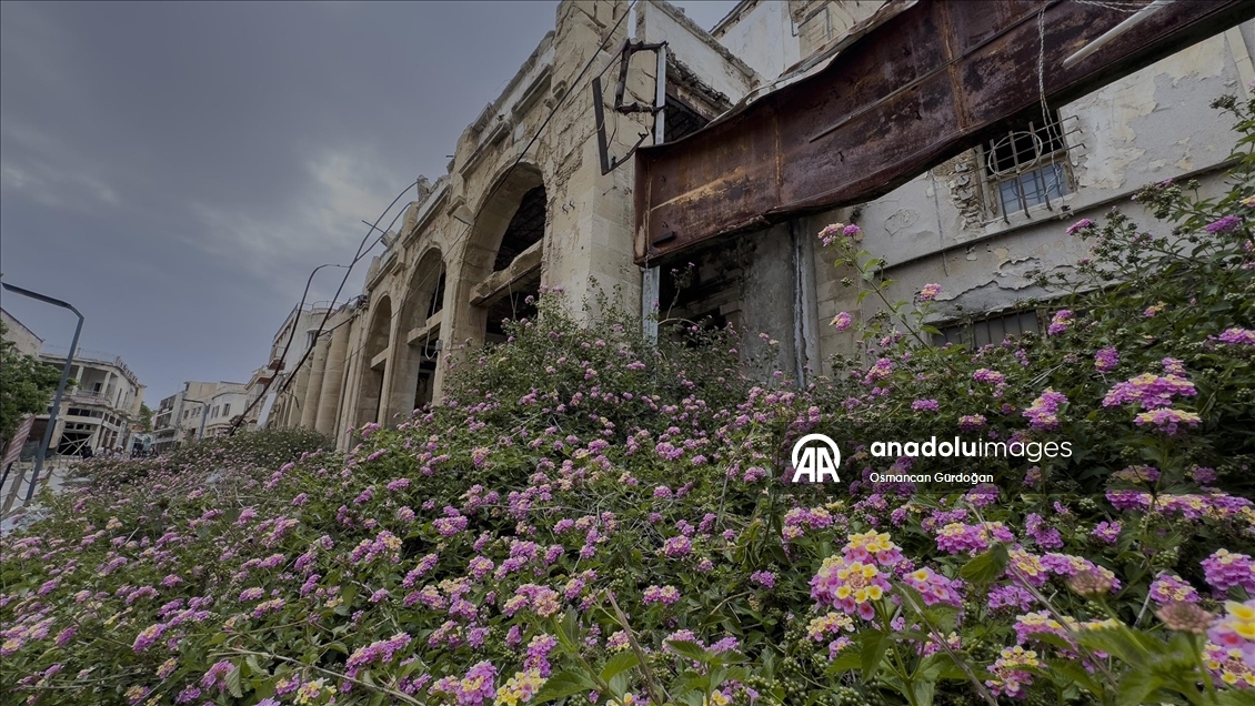 Kapalı Maraş'ın çiçekleri