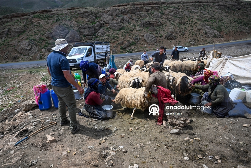 Havanın ısınmasıyla Van'ın yaylalarındaki hareketlilik arttı