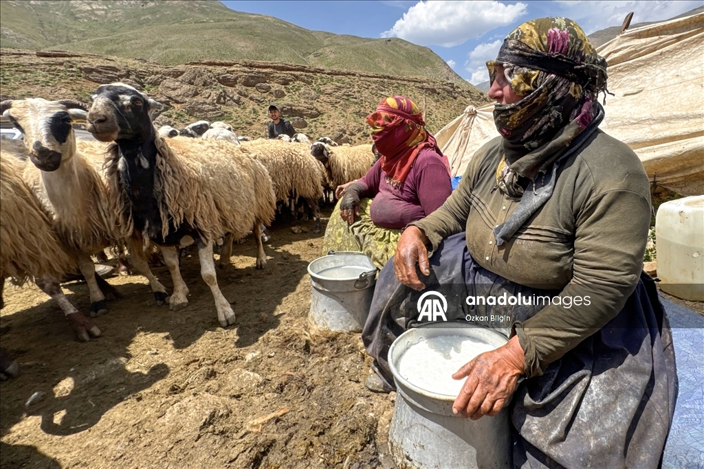 Havanın ısınmasıyla Van'ın yaylalarındaki hareketlilik arttı