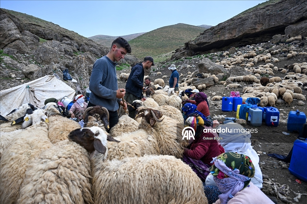 Havanın ısınmasıyla Van'ın yaylalarındaki hareketlilik arttı