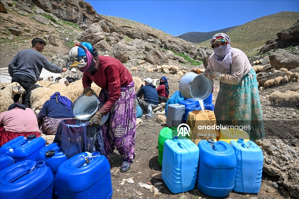 Havanın ısınmasıyla Van'ın yaylalarındaki hareketlilik arttı