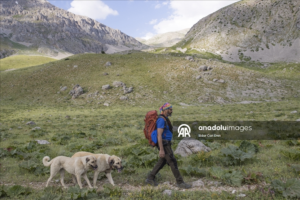 Tunceli'deki Kırkmerdiven Şelaleleri yaz sezonunda turizmi hareketlendiriyor