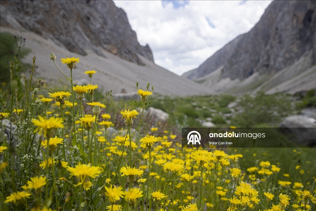 Tunceli'deki Kırkmerdiven Şelaleleri yaz sezonunda turizmi hareketlendiriyor