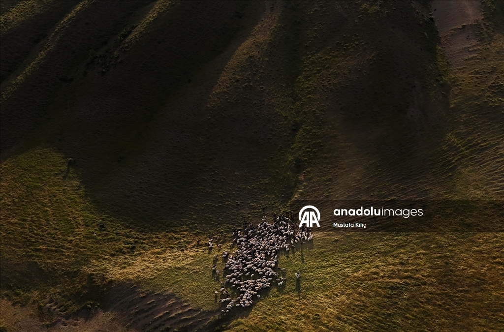 Nemrut Dağı eteklerinde zorlu yayla yolculuğu 6