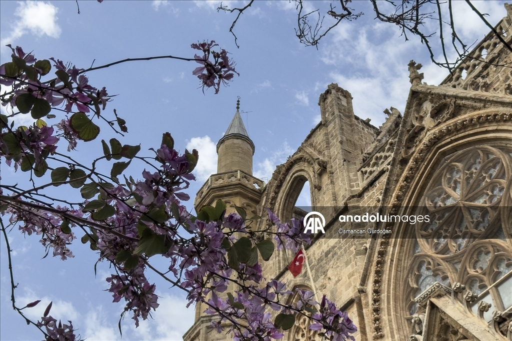 Kıbrıs'ın sembol yapılarından Lala Mustafa Paşa Camii 6