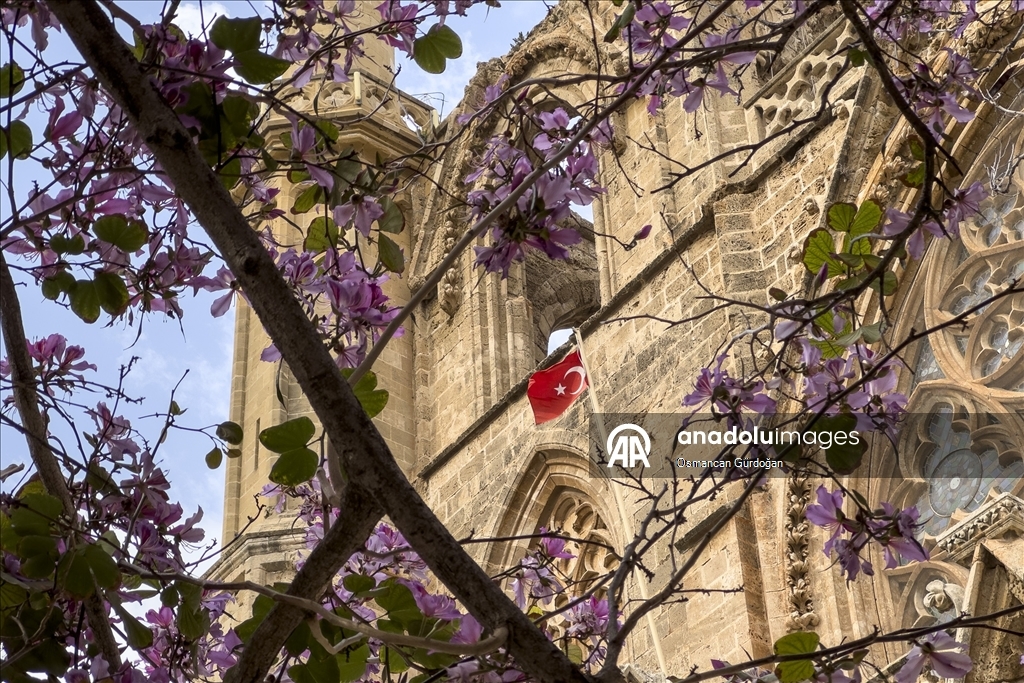 Kıbrıs'ın sembol yapılarından Lala Mustafa Paşa Camii