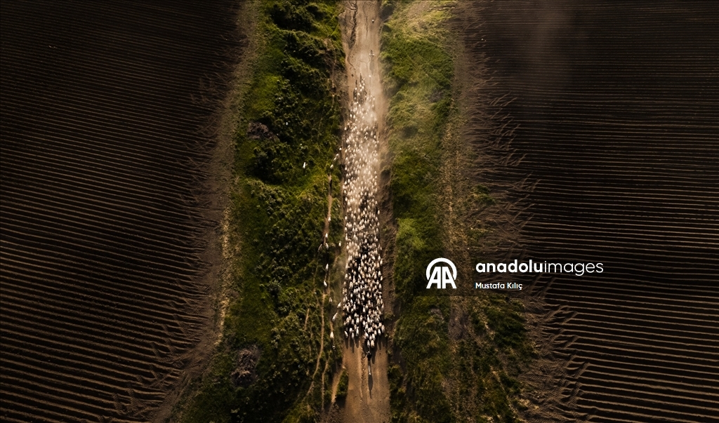 Nemrut Dağı eteklerinde zorlu yayla yolculuğu 5