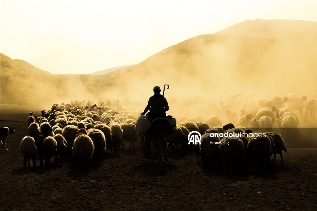 گەشتی سەختی کوێستان لە دامێنی چیای نەمروت