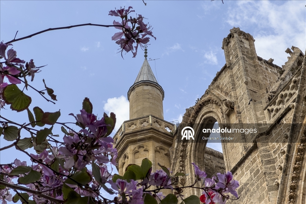 Kıbrıs'ın sembol yapılarından Lala Mustafa Paşa Camii 5