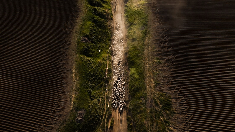 گەشتی سەختی کوێستان لە دامێنی چیای نەمروت