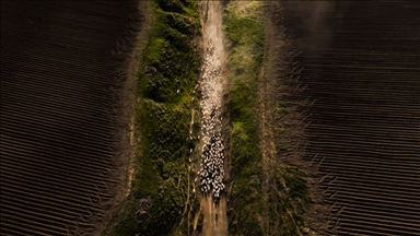 گەشتی سەختی کوێستان لە دامێنی چیای نەمروت