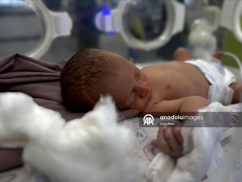 Gazze'de prematüre bebekler hayatta kalma mücadelesi veriyor