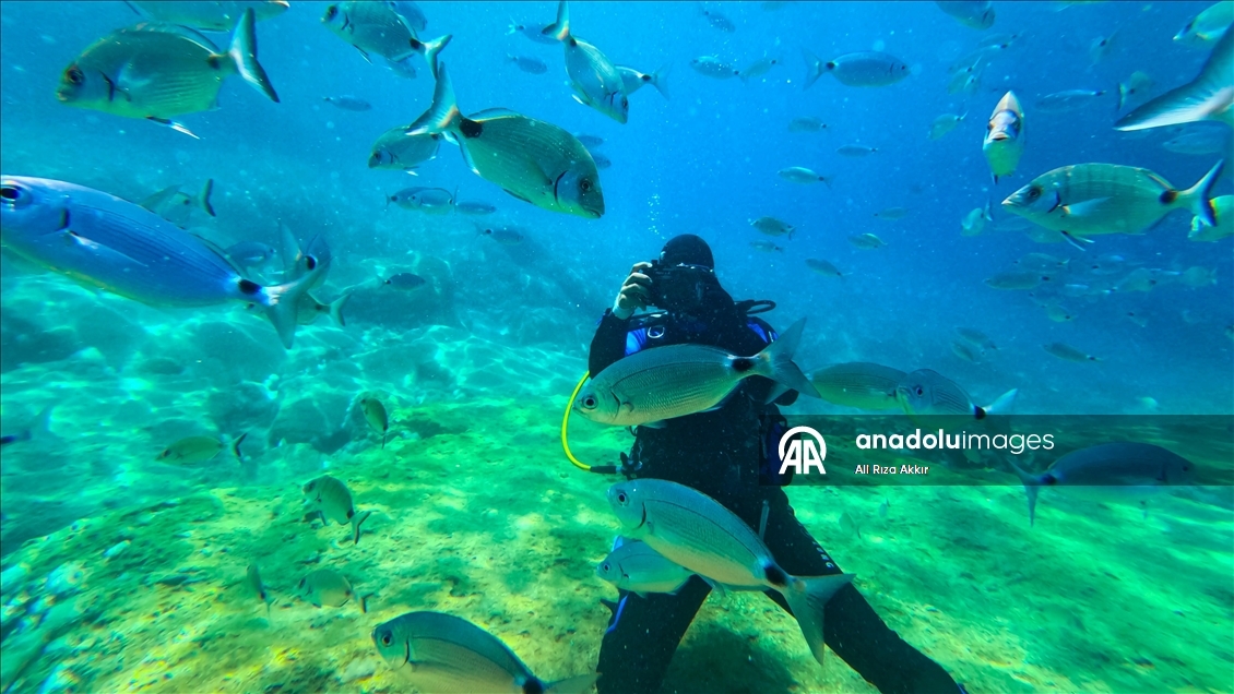 Diving enthusiasts explore the underwater riches of Fethiye, Mugla
