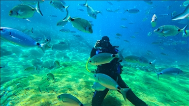 Diving enthusiasts explore the underwater riches of Fethiye, Mugla