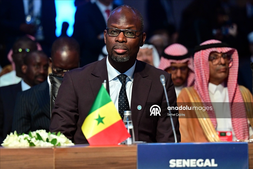 Senegal Senegal Riyad Büyükelçisi, İİT Senegal Daimi Temsilcisi Birame Mbangnick Diagne