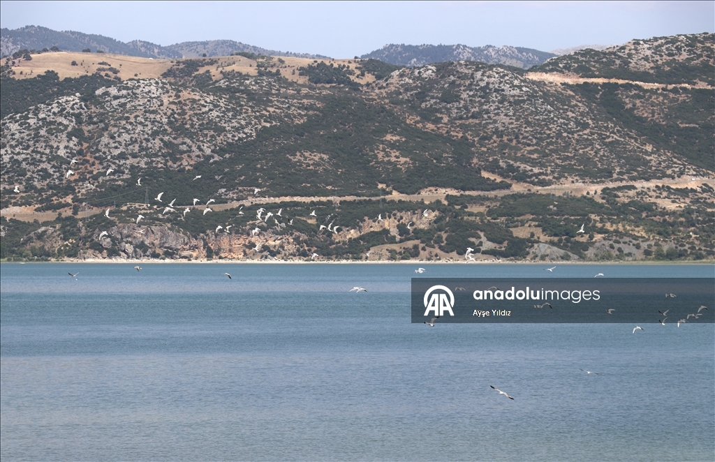 Kuraklığın etkisiyle su seviyesi düşen Eğirdir Gölü dronla görüntülendi