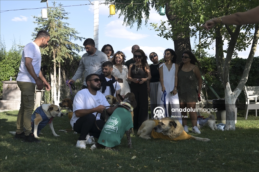 Başkentte engelli hayvanlar tasarlanan kıyafetlerle podyumda yürüdü