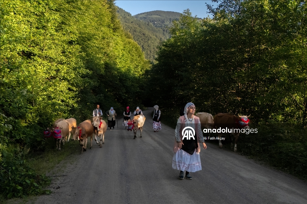 Trabzon'da yayla göçü devam ediyor