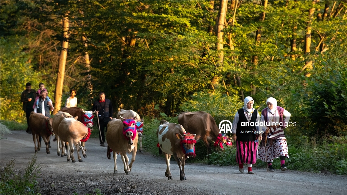 Trabzon'da yayla göçü devam ediyor