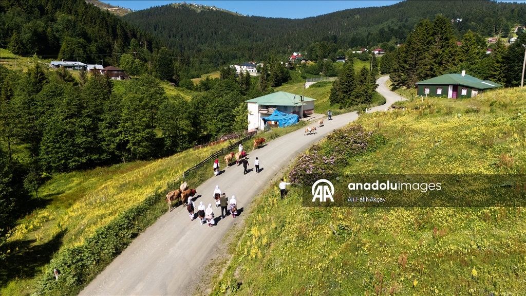 Trabzon'da yayla göçü devam ediyor