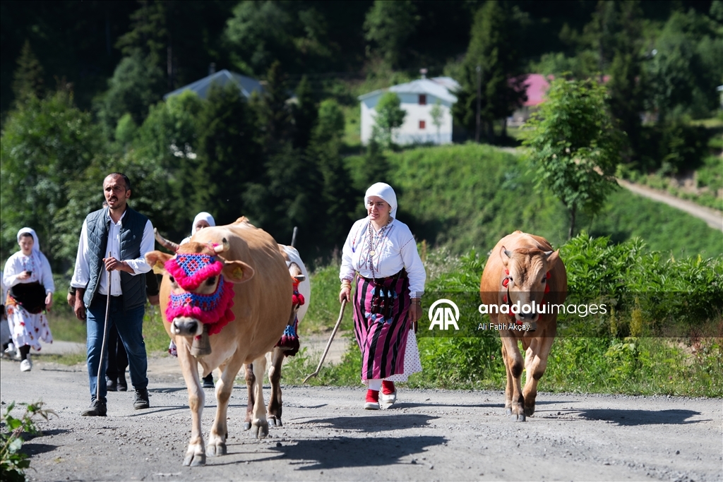 Trabzon'da yayla göçü devam ediyor