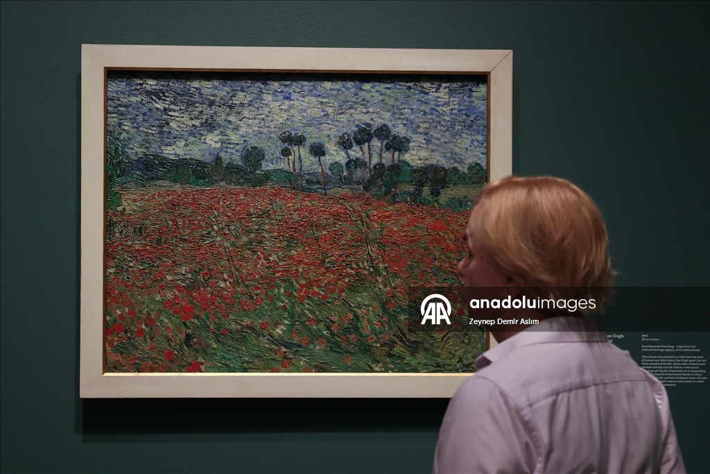 Anselm Kiefer ve Vincent van Gogh’un eserleri, Londra’daki Royal Academy of Arts’ta sanatseverlerle buluşuyor