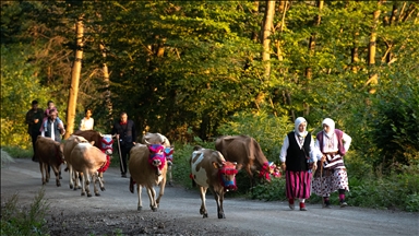 Trabzon'da yayla göçü devam ediyor