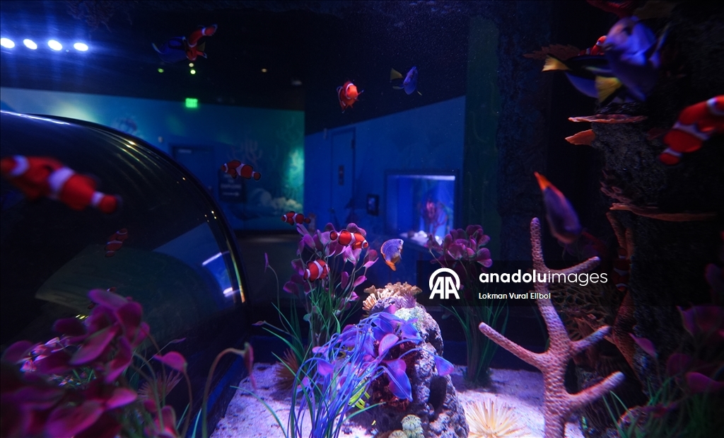 Visitors explore underwater worlds at SEA LIFE Aquarium in American Dream Mall, New Jersey