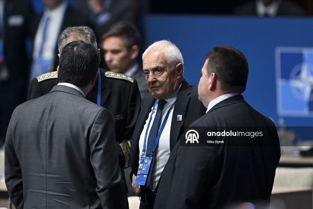 NATO Devlet ve Hükümet Başkanları Zirvesi
