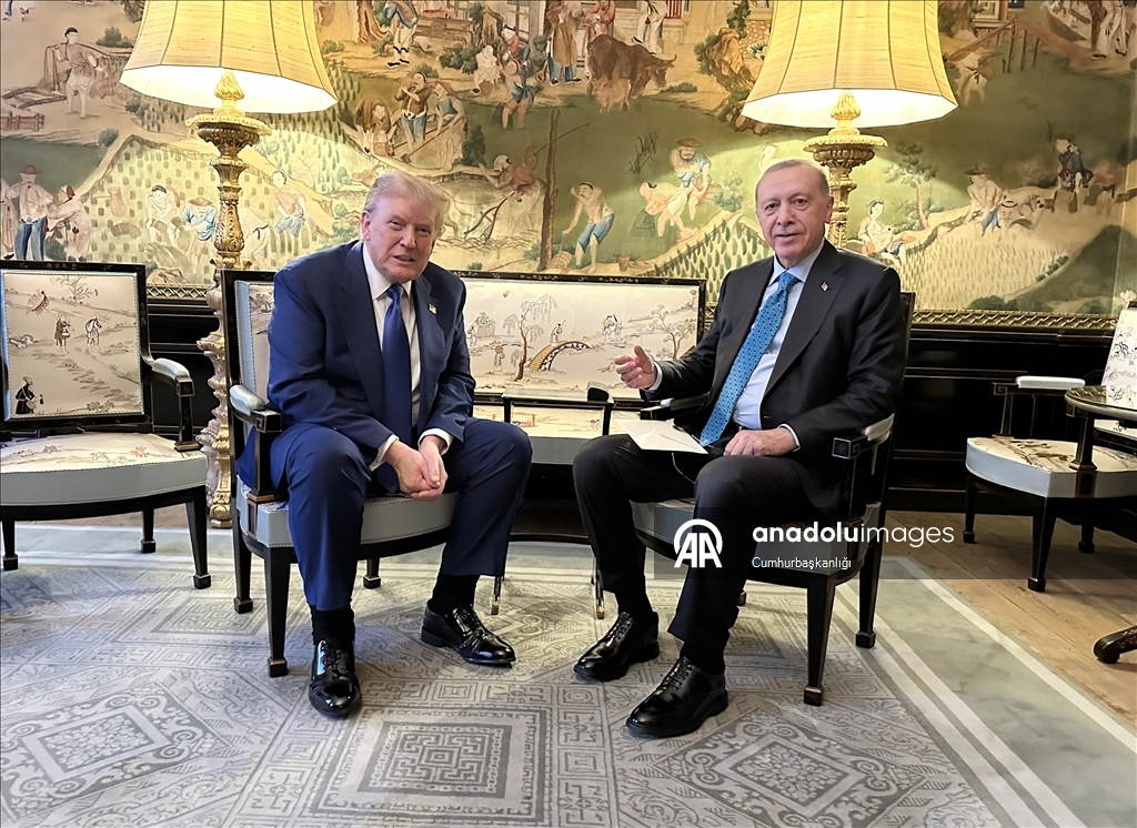 Президент Эрдоган в Гааге встретился с президентом США Дональдом Трампом