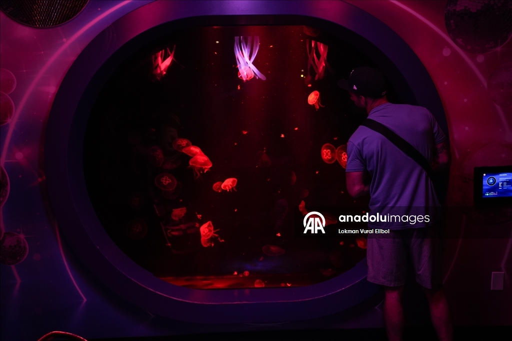 Visitors explore underwater worlds at SEA LIFE Aquarium in American Dream Mall, New Jersey