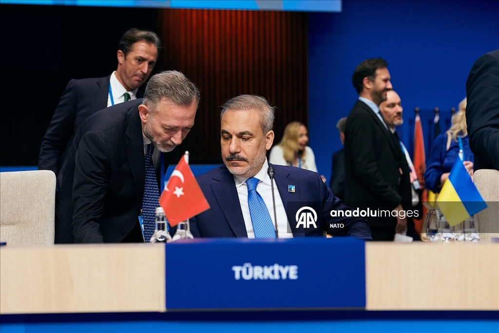 NATO Devlet ve Hükümet Başkanları Zirvesi