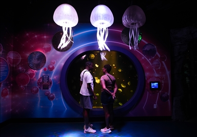 Visitors explore underwater worlds at SEA LIFE Aquarium in American Dream Mall, New Jersey